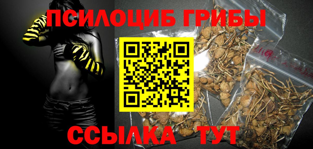 Галлюциногенные грибы мицелий Трёхгорный