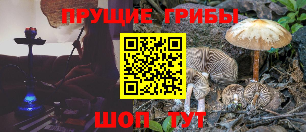 Галлюциногенные грибы ЛСД  Вход с VPN  Трёхгорный  Псилоцибиновые грибы MAGIC MUSHROOMS 
